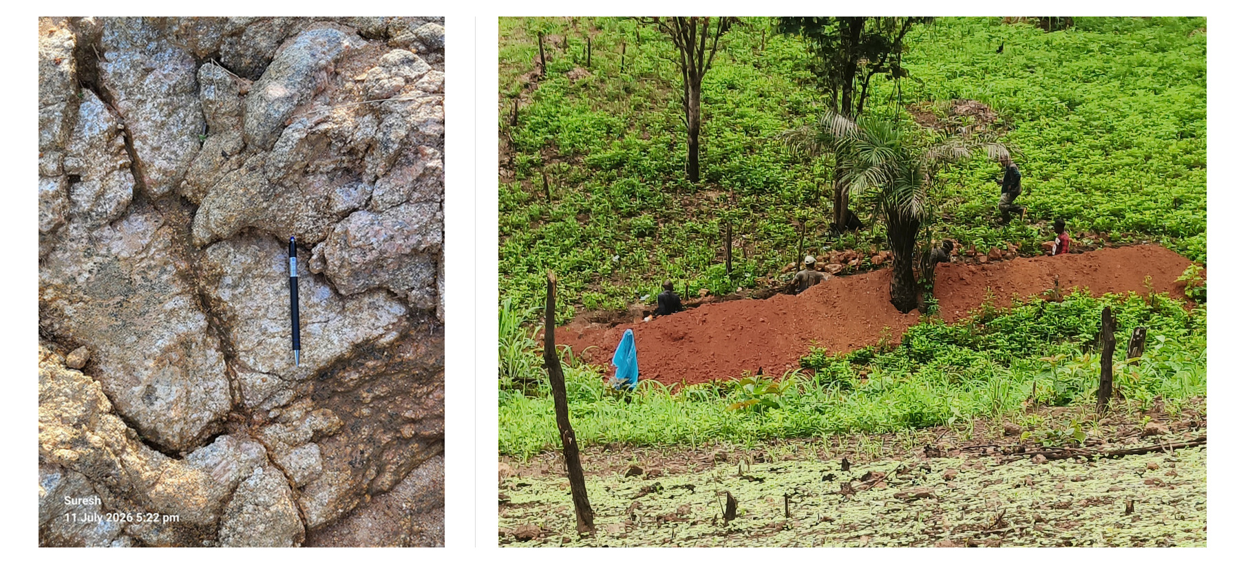 An exposed pegmatitic rock body beside a photograph of field trenching.